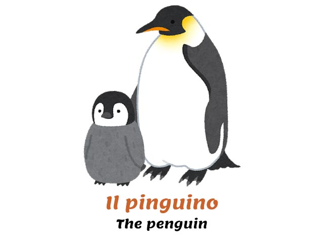 a mother penguin and small penguin - birds in italian