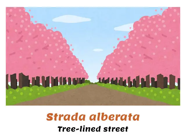 street in italian - strada alberata