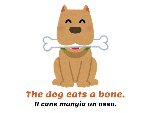 verbi di stato e di azione in inglese - dog eats a bone