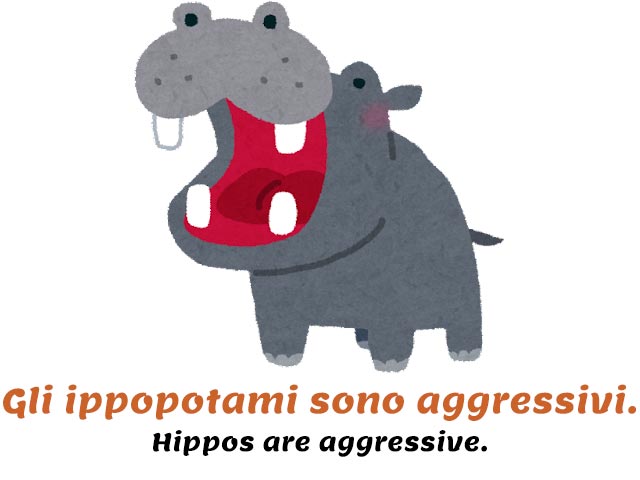 hippo with mouth wide open