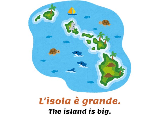 definite articles in italian - big islands - hawaii with turtles and dolphins