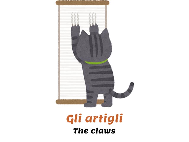 cat scratching a curtain with its claws