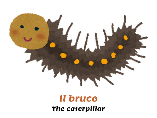 brown and orange smiling caterpillar