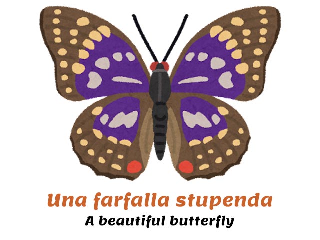 how do you say butterfly in italian? - brown and purple butterfly