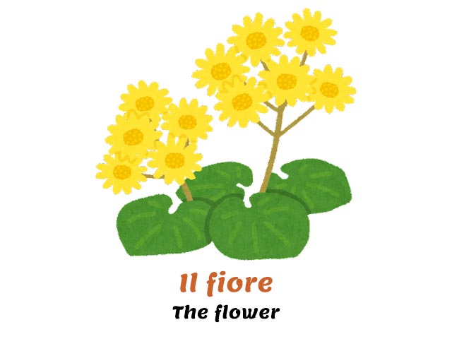 yellow flowers with green leaves - lyrics and translation into english of metaverso - chiamamifaro
