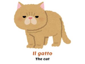 CAT in Italian - Pronunciation, origins, examples