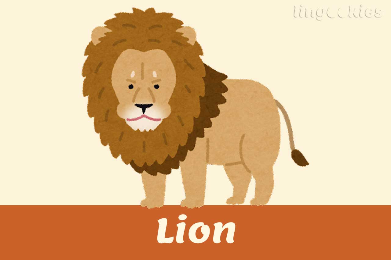 how do you say lion in italian