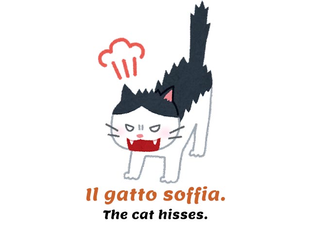 hissing cat in italian