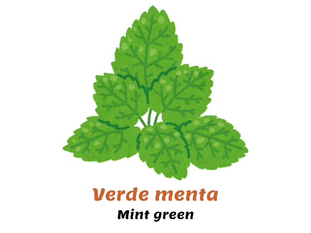 mint green - mint leaf