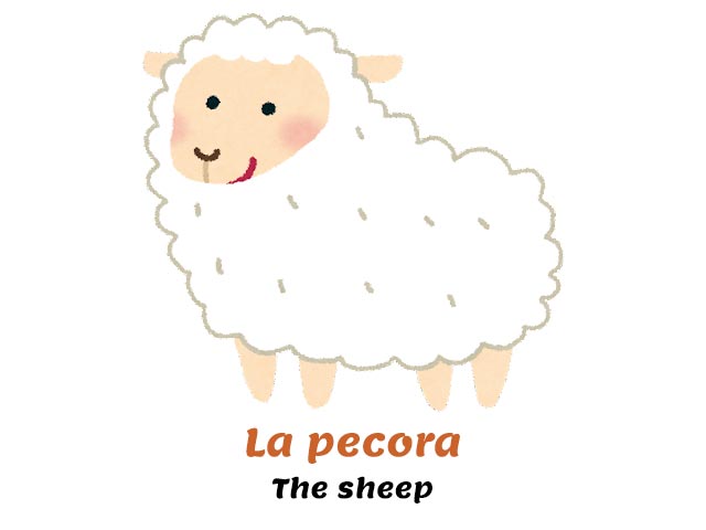 happy sheep with thick wool - how do you say sheep in italian