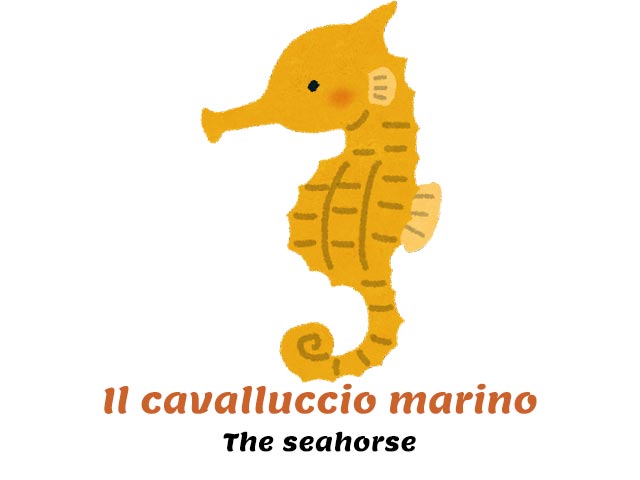 yellow seahorse