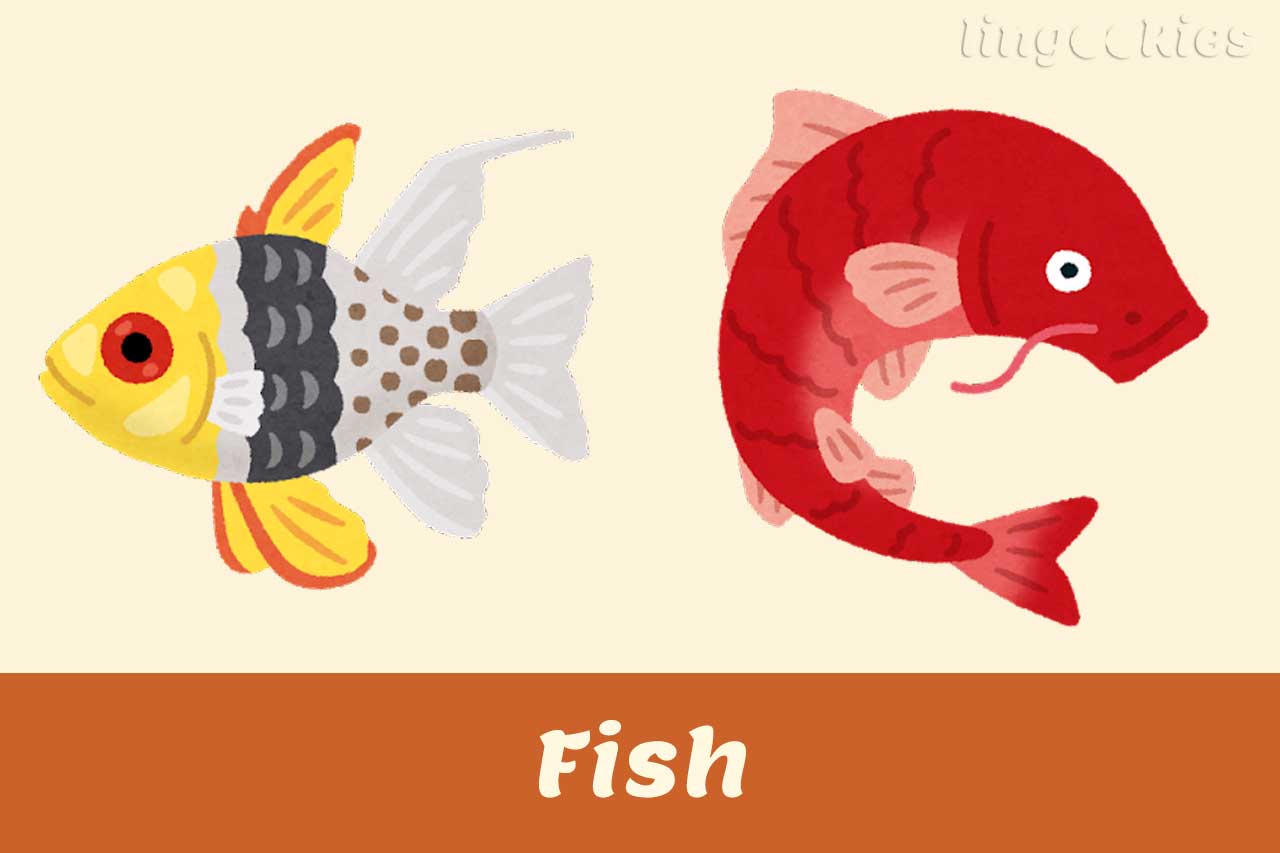 fish names in italian