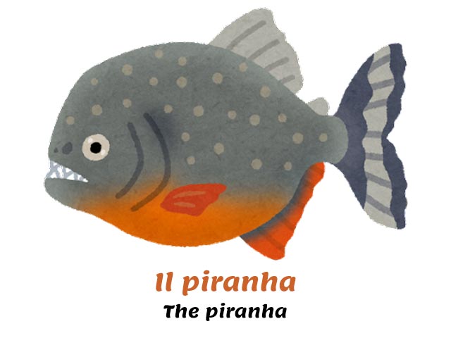 piranha fish facing left