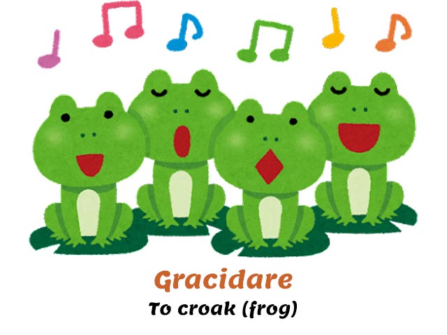 frogs singing