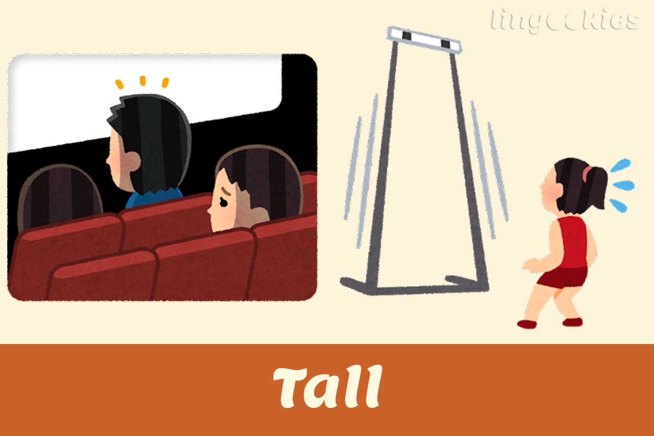 how-do-you-say-tall-in-italian-with-free-audio