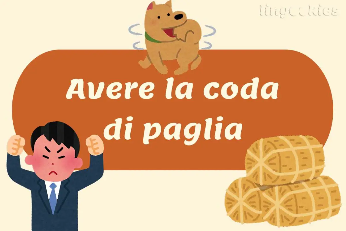 Che Significa Avere La Coda Di Paglia Avere la coda di paglia - Italian Expressions