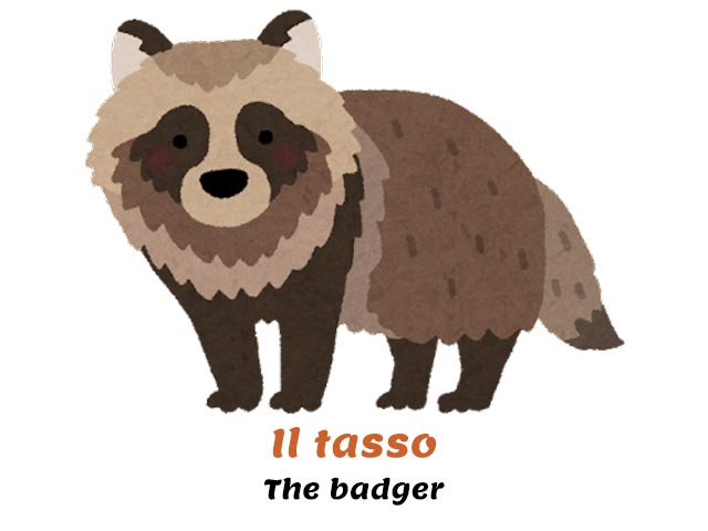 a badger