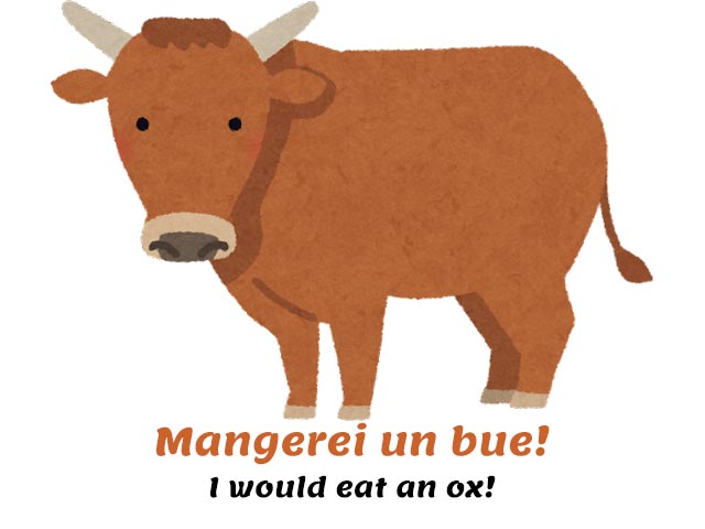 an ox