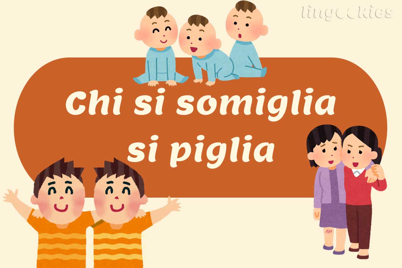 meaning of Chi si somiglia si piglia in italian