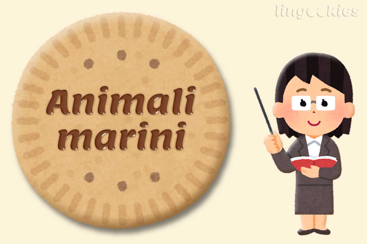 animali marini in inglese