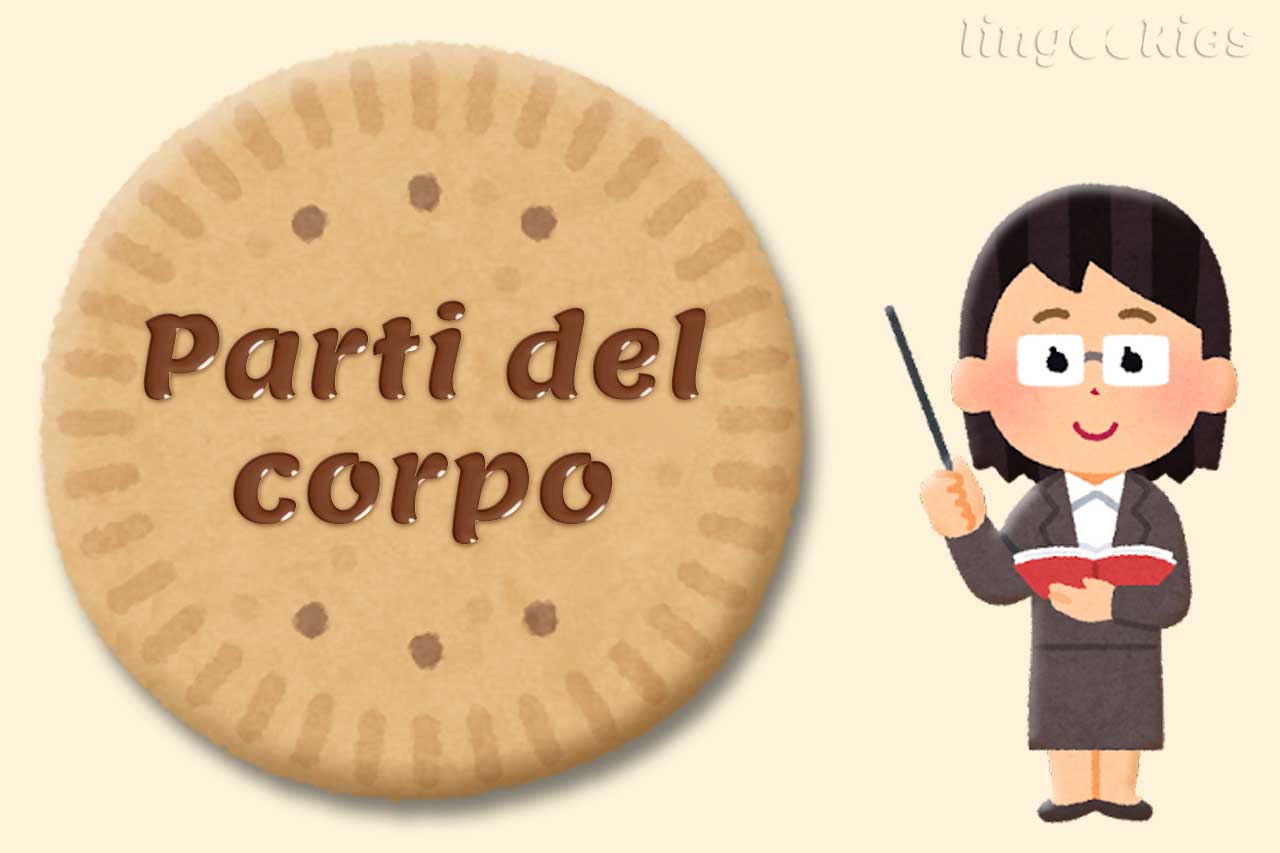 parti del corpo in inglese